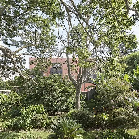 Semesterbostad Casa Das Cicas - Downtown Family Living *